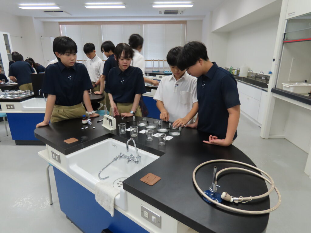 SAテスト
